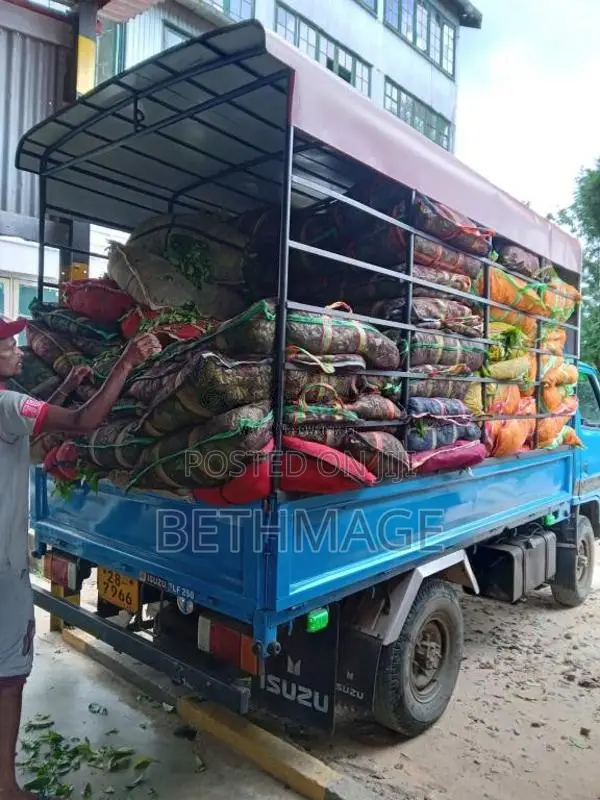 Isuzu ELF 1983 Lorry (Used)
