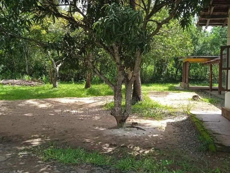 House with Land for Sale Nikaweratiya
