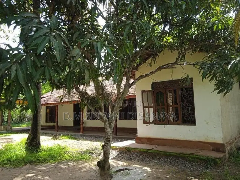House with Land for Sale Nikaweratiya