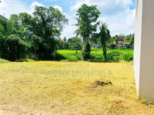 Paddy Facing 6.5P 13P Land for Sale in Pannipitiya Mahalwarawa