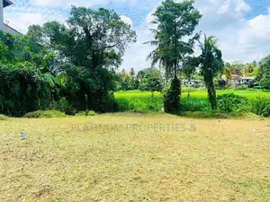 Paddy Facing 6.5P 13P Land for Sale in Pannipitiya Mahalwarawa