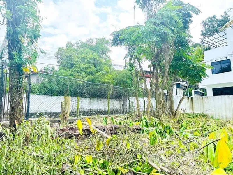 Facing a Scenic Paddy Field 10 Perch Land for Sale in Piliyandala