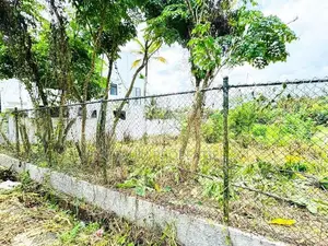 Facing a Scenic Paddy Field 10 Perch Land for Sale in Piliyandala