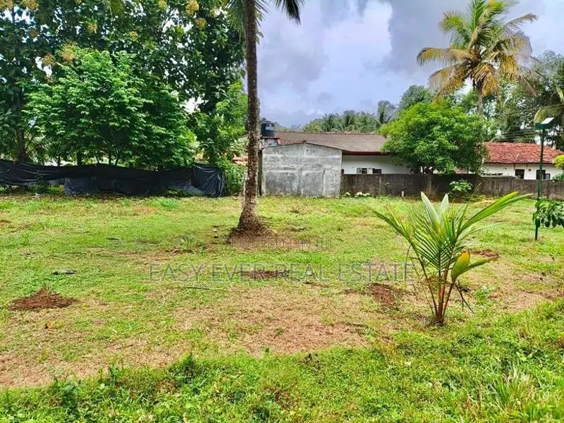 බණ්ඩාරගම වීදියගමින් පර්චස් 20ක අගනා බිම් කොටසක් විකිණීමට