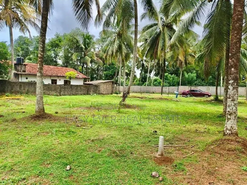 බණ්ඩාරගම වීදියගමින් පර්චස් 20ක අගනා බිම් කොටසක් විකිණීමට