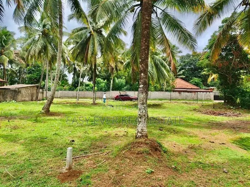 බණ්ඩාරගම වීදියගමින් පර්චස් 20ක අගනා බිම් කොටසක් විකිණීමට