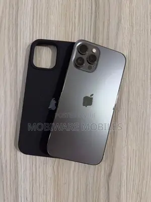 Apple iPhone 12 Pro Max 256GB (Used)