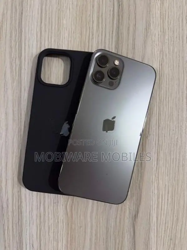 Apple iPhone 12 Pro Max 256GB (Used)