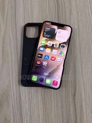 Apple iPhone 12 Pro Max 256GB (Used)