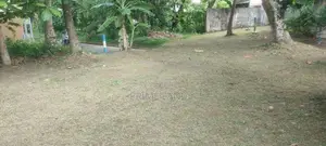 Land for Sale in Thalahena