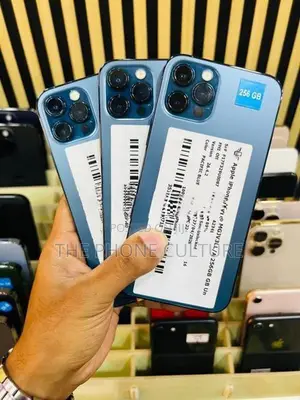Apple iPhone 12 Pro 256GB (Used)