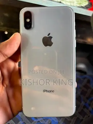 Apple iPhone X 256GB (Used)