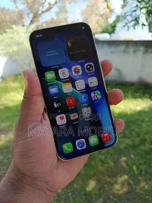 Apple iPhone 12 Pro 256GB (Used)