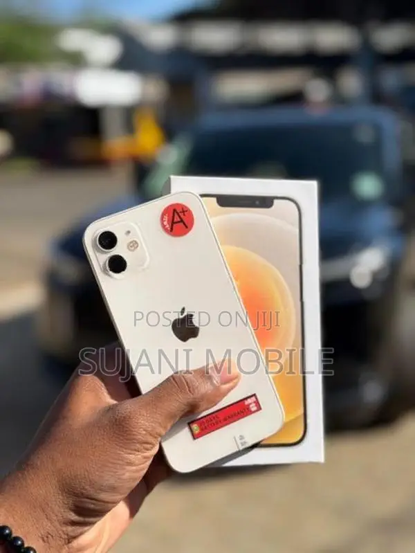 Apple iPhone 12 (Used)