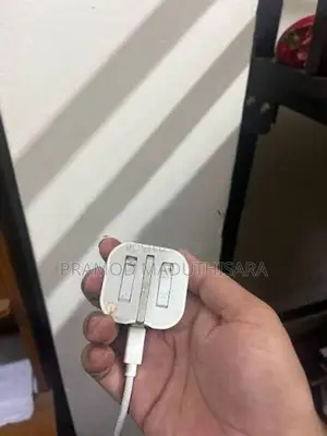 Apple Charger (Used)