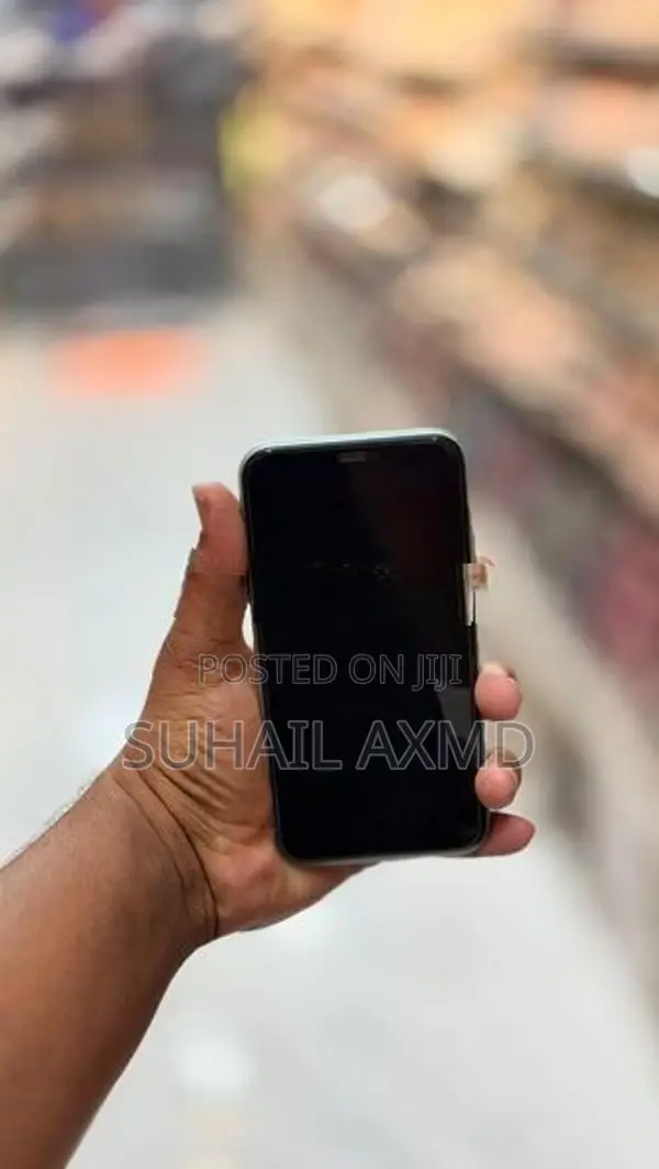Apple iPhone 11 (Used)