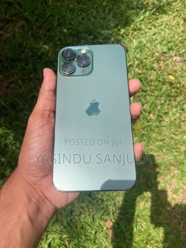 Apple iPhone 13 Pro Max (Used)