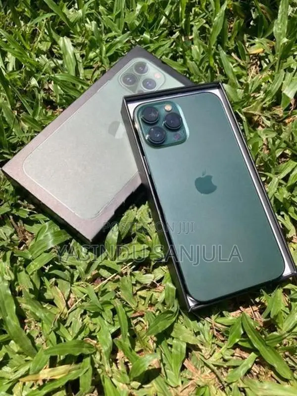 Apple iPhone 13 Pro Max (Used)