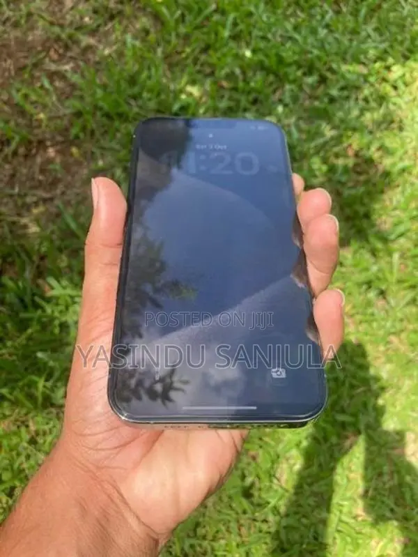 Apple iPhone 13 Pro Max (Used)