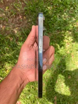 Apple iPhone 13 Pro Max (Used)