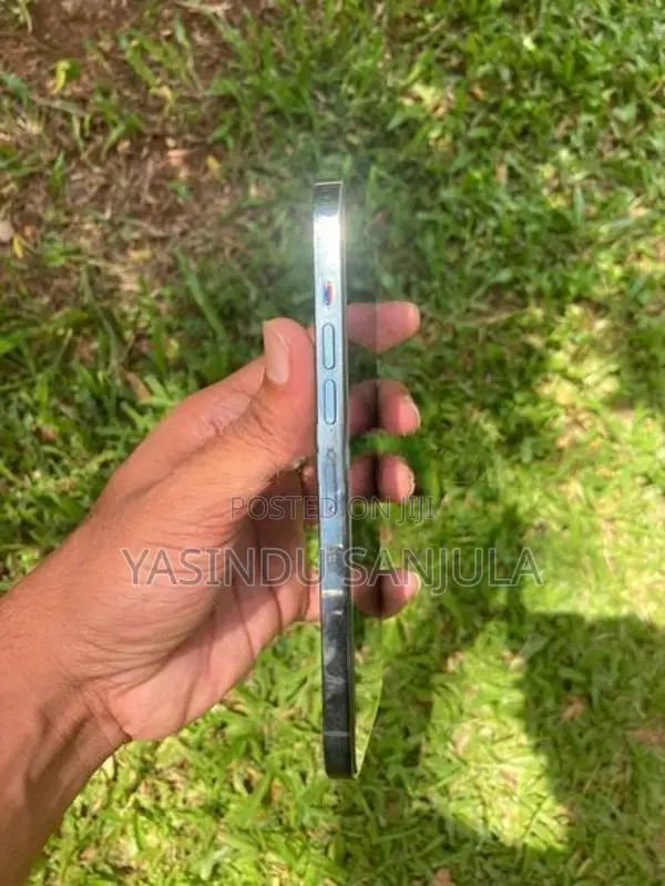Apple iPhone 13 Pro Max (Used)