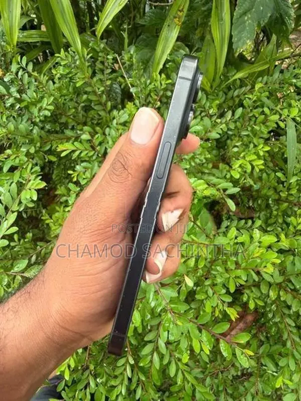 Apple iPhone 15 Pro Max 256GB (Used)
