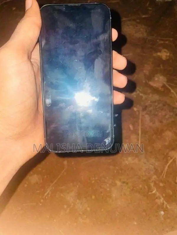 Apple iPhone 13 (Used)