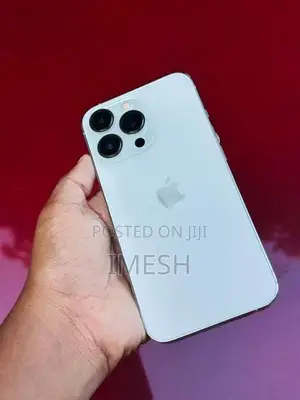 Apple iPhone 13 Pro (Used)