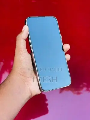 Apple iPhone 13 Pro (Used)