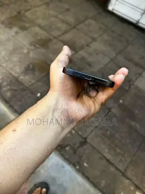 Apple iPhone 16 Pro Max Titanium (Used)