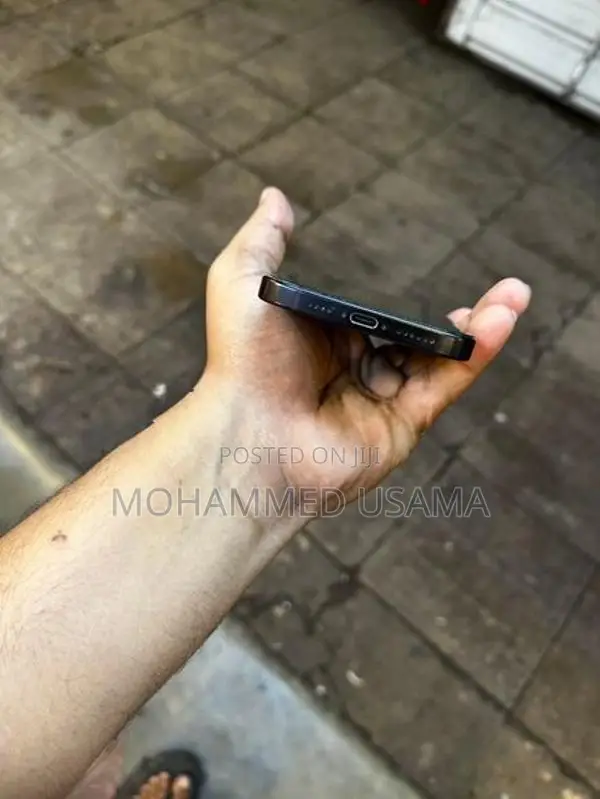 Apple iPhone 16 Pro Max Titanium (Used)