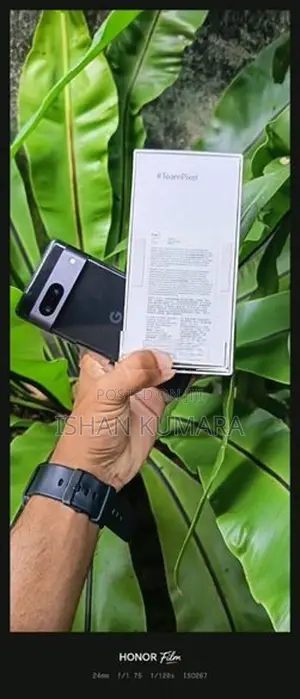 Google Pixel 7 Global Version (Used)