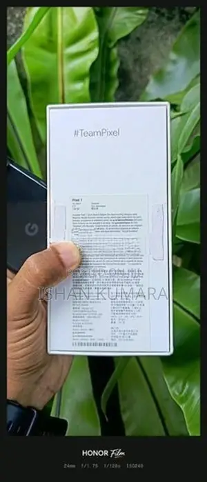 Google Pixel 7 Global Version (Used)
