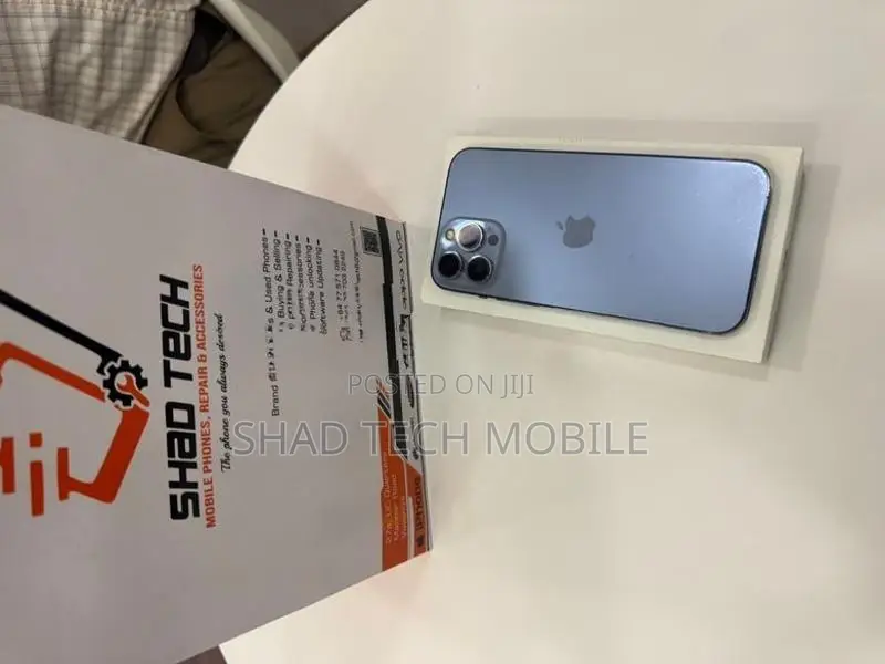Apple iPhone 13 Pro Max 256GB (Used)