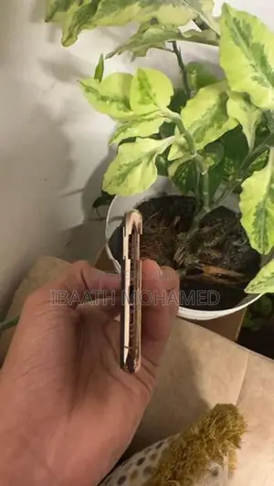 Apple iPhone XS (Used)