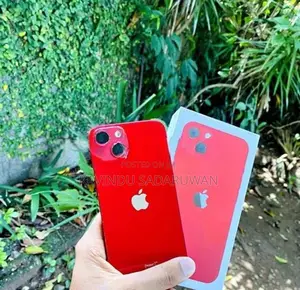 Apple iPhone 13 (Used)