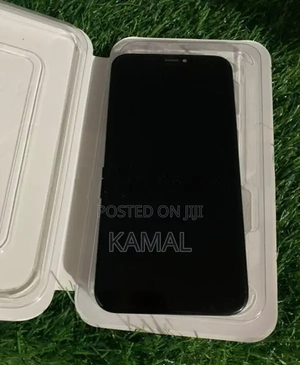 Apple iPhone 11 Pro Max Display