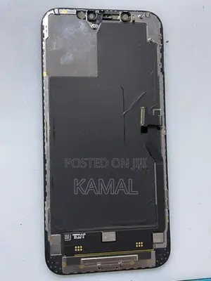 Apple iPhone 12 Pro Max Display
