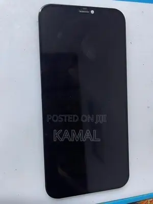 Apple iPhone 12 Pro Max Display