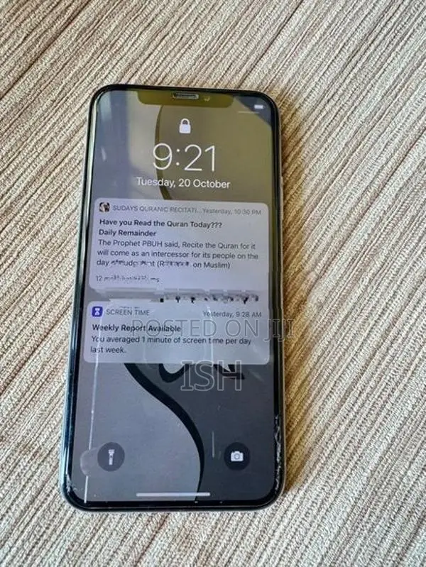 Apple iPhone X (Used)