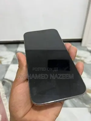 Apple iPhone 12 Pro Max (Used)