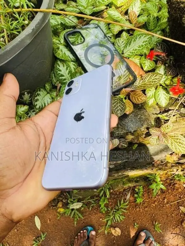 Apple iPhone 11 (Used)