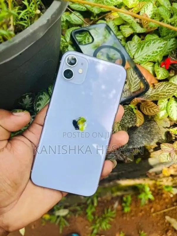 Apple iPhone 11 (Used)