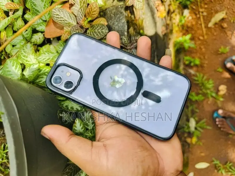 Apple iPhone 11 (Used)