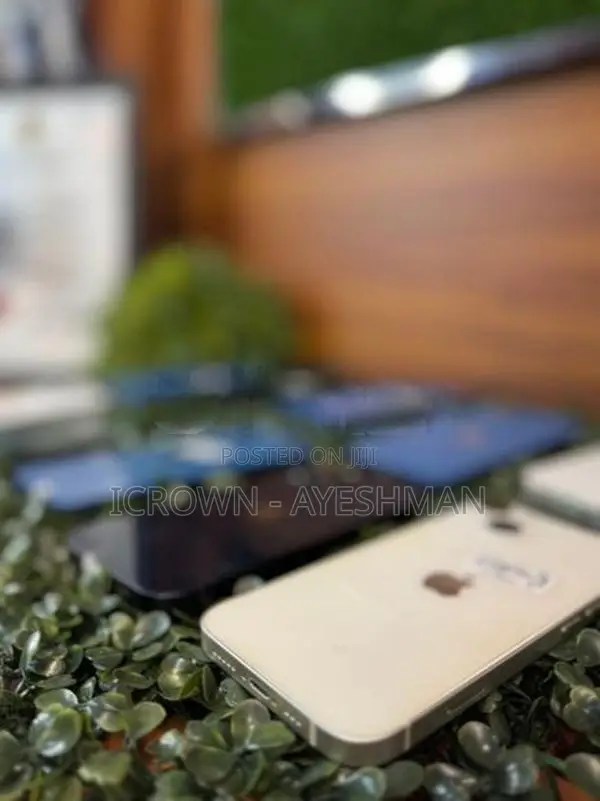 Apple iPhone 13 256GB (Used)