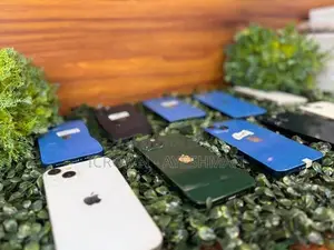 Apple iPhone 13 256GB (Used)