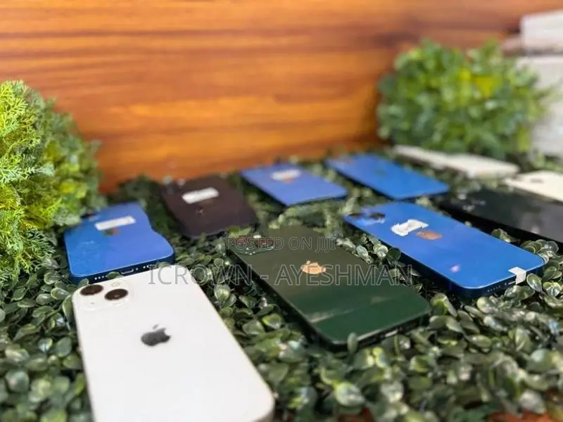 Apple iPhone 13 256GB (Used)