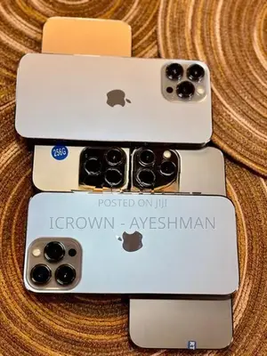 Apple iPhone 13 Pro Max 256GB (Used)