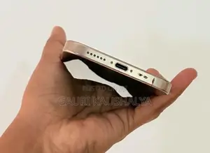 Apple iPhone 16 Pro Max (Used)
