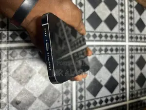 Apple iPhone 13 Pro Max (Used)